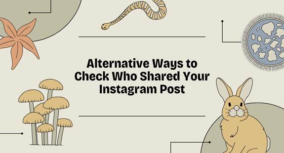 Alternative Ways to Check Who Shared Your Instagram Post - bedeol