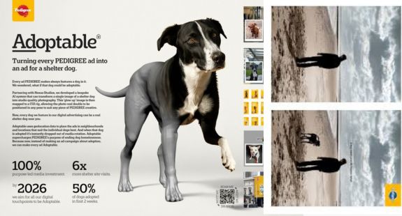 19. Pedigree – Missing Dog Ad - bedeol