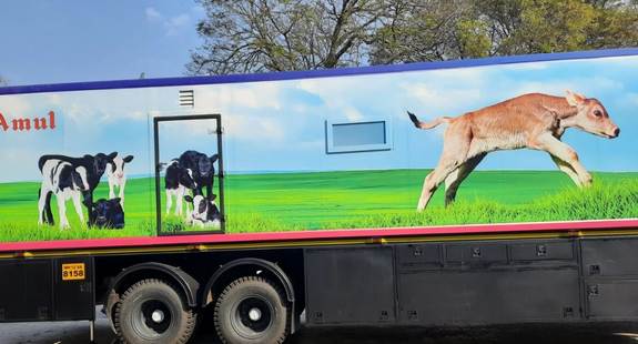 🧀 Amul’s ‘Taste on Wheels’ Campaign (India) - bedeol