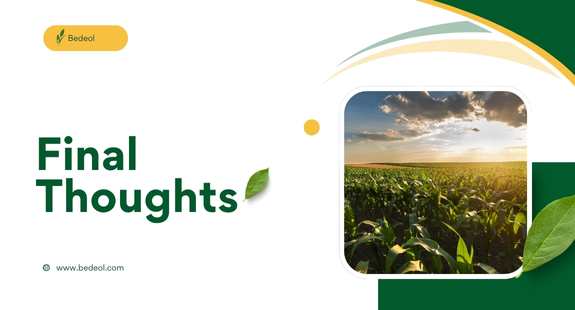Final Thoughts - Smart Agriculture Advertisement Strategies - bedeol